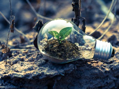 Exxaro Wins Mining Excellence Award 2024